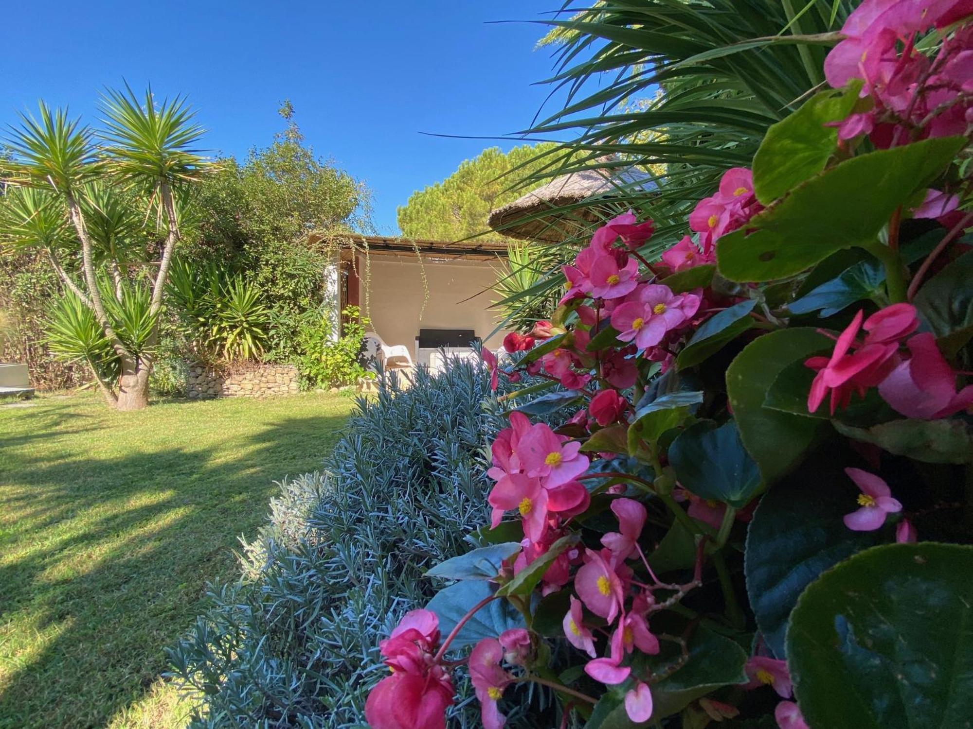 Lemodernlounge, Hebergement Cosy Moderne Spacieux Balaruc-les-Bains Exteriér fotografie