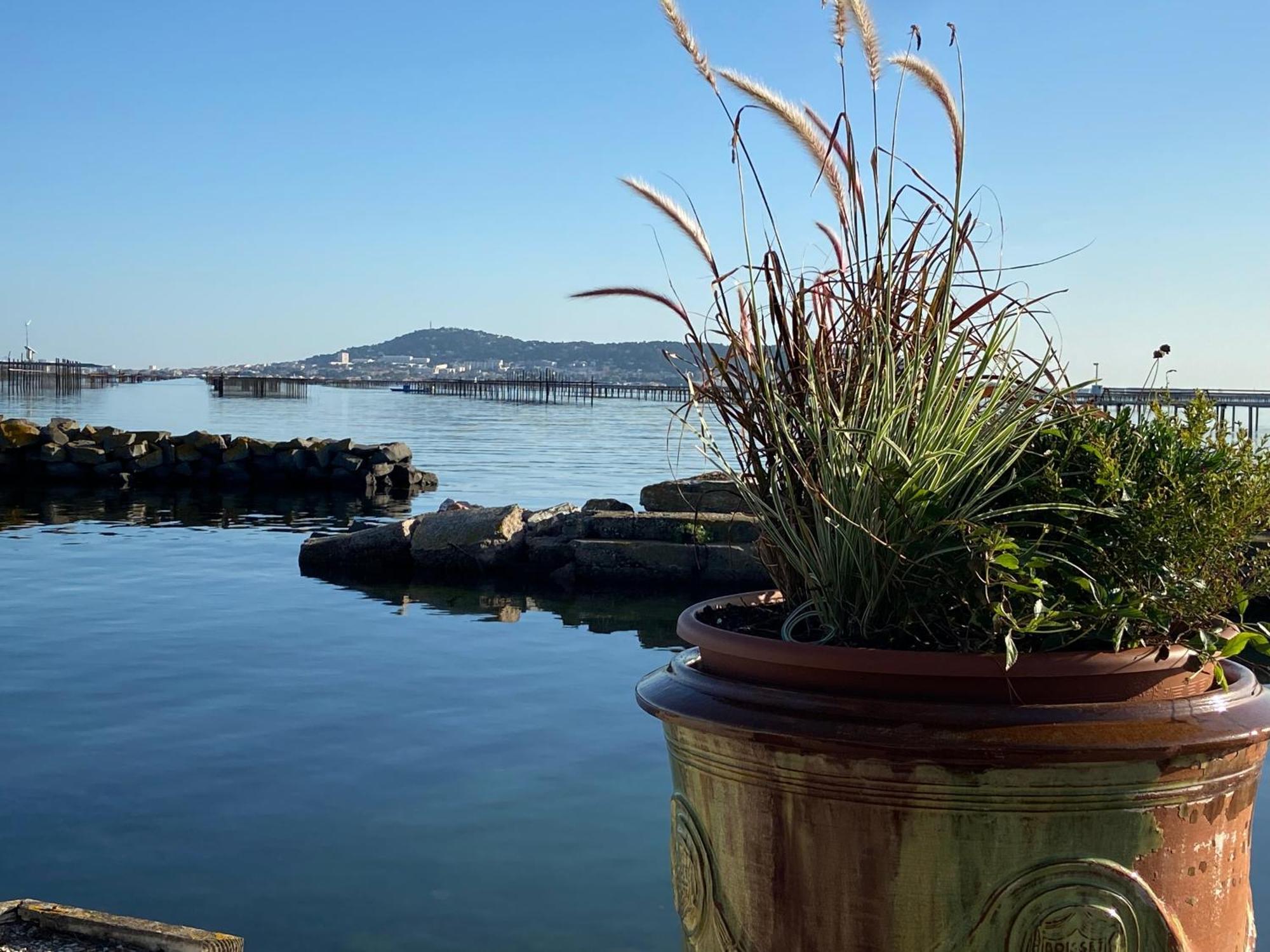 Lemodernlounge, Hebergement Cosy Moderne Spacieux Balaruc-les-Bains Exteriér fotografie